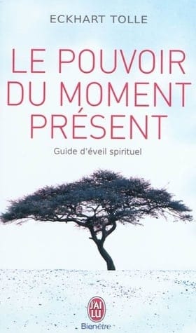 The Power of Now: A Guide to Spiritual Enlightenment